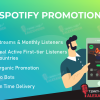Spotify promotion